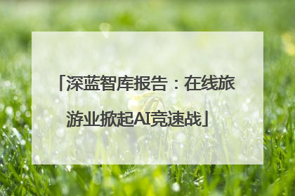 深蓝智库报告：在线旅游业掀起AI竞速战